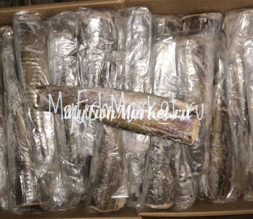 картинка Хек тушка 500-800 IWP Интернет магазина MyFishMarket.ru - доставка свежемороженой рыбы , морепродуктов , красной и черной икры в офис или на дом.