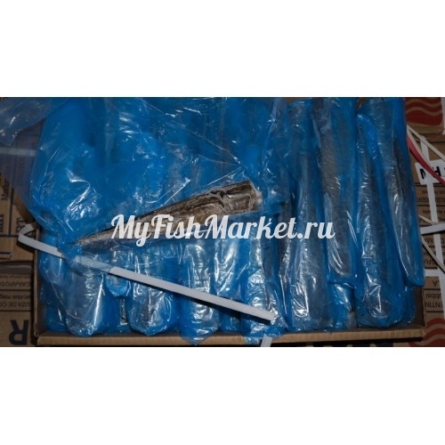 картинка Хек тушка 500-800 IWP Интернет магазина MyFishMarket.ru - доставка свежемороженой рыбы , морепродуктов , красной и черной икры в офис или на дом.
