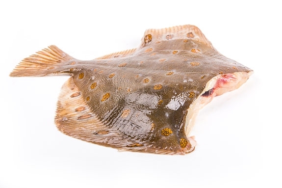 картинка Камбала б/г  1,0 инд зам Интернет магазина MyFishMarket.ru - доставка свежемороженой рыбы , морепродуктов , красной и черной икры в офис или на дом.